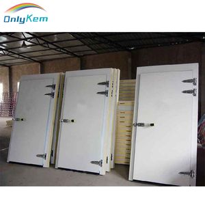Sample Customization Hinged Door for Cold Room Frozen Vegetable