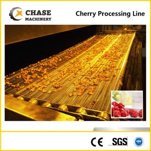 Palm Fruit/Pineapple/Mango Processing Line From Shanghai Chase
