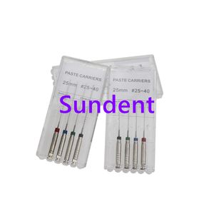 Dental Stainless Steel Endo Files Dental Consumables 21mm 25mm Paste Carries Dental Materials