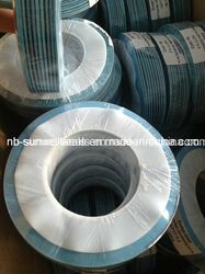 PTFE Envelope Gaskets