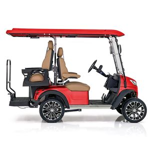 Low Cost Light Steering Electric Golf Cart with Padded Cushion