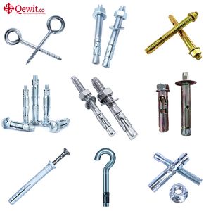 Stainless Steel/Carbon Steel Scaffold Fixing/Bolt Fixing/Screw Fixing/Plug Fixing/Washer Fixing/Nut Fixing