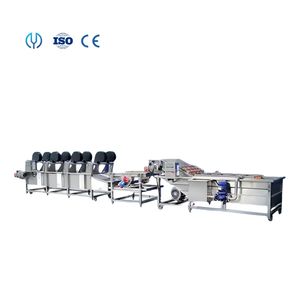 Industrial Fruit and Vegetable Bubble Cleaning and Air Drying Processing Line