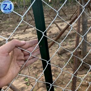Green Color PVC Coated Chain Link Mesh (R-GHW) Galvanized Wire Mesh