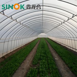 Cheap Agricultural Single Span Plastic Film Greenhouse with Customized Size