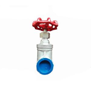 Z11W Female Thread Gate Valve Sulice Valve in Stainless Steel