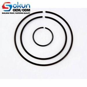 Corrosion-Resistant Steel Snap Rings for Bores - Durable DIN 9926