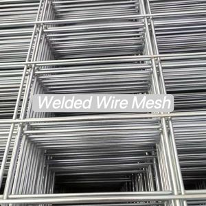 Hot Dipped Galvanized Welded Wire Mesh for Poultry Cage & Orchard Fencing