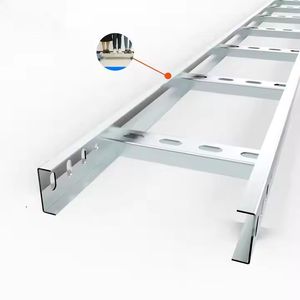 Heavy Duty Anti-Corrosion Stainless Steel S304 Cover Ladder Cable Trays