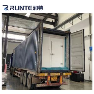 Runte Refrigerating 20 Feet 40 Feet Container Cold Storage Room Meat Fruits
