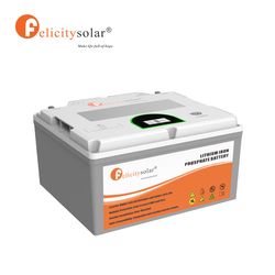 Felicitysolar 2.56kwh LiFePO4 Battery 24V 100ah up to 16 Units Parallel for Solar System RV off-Grid