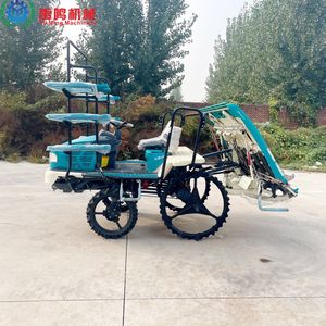 6-Row Diesel Riding Rice Transplanter Rice Seedling Planting Machine