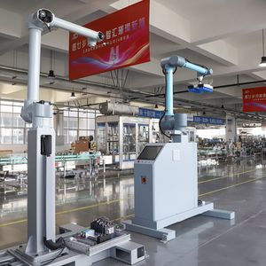 30kg 6-Axis Palletizing Robot with Ai Diagnosis