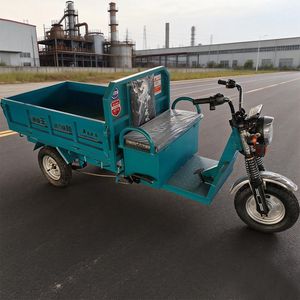 Sleek High-Performance Electric Tricycle with Advanced Motor Drive