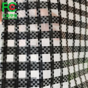 Greenhouse Plastic Film Agricultural ETFE Greenhouse Film Tunnel Greenhouse Mushroom