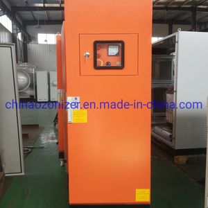 High Cencentration Ozone Generator for Swimming Pool and Bathroom Recycling Water Sterilization, Decolonization