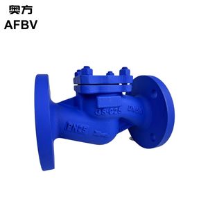 High-Performance DIN Lift Check Valve for Reliable Flow Control