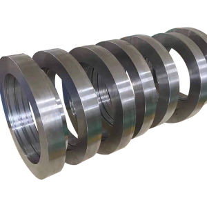 Corrosion Resistant Flange/Disc/Ring Steel Forging 3Cr13/420/30X13 with Hot Forging Process and ISO Certification