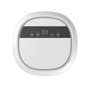 Flygoo 12V 400mg Us Plug Ozone Generator with Negative Ions Timer for Air Water Purifier