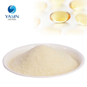 Unflavored Fish Grade Gelatin for Pharmaceutical Industrial