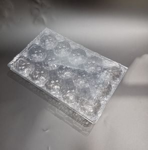 15 Grids Plastic Chicken Egg Plastic Egg Holder Box for Fridge