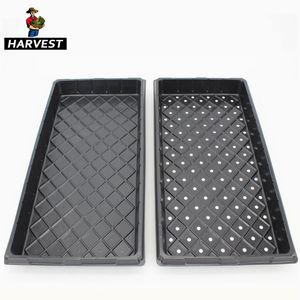 Agriculture Vegetable Plant Tray, Rice Seedling Tray, Seed Tray