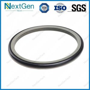 PTFE Rotary Seal Cylinder Glyd Piston Seal PTFE Bronze NBR/FKM OE Rotary Ring Type Seal