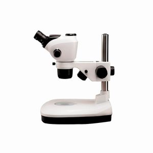 Binocular Metallurgical Microscope for Camera Microscopy