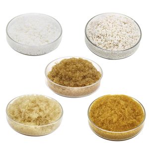 Amberlite Fpx66 DuPont Polymeric Adsorbent Ion Exchange Resin