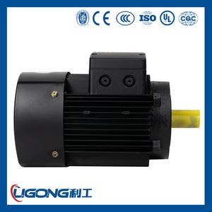 Ye3-63m1-2 2-Pole 2720rpm Three-Phase Induction Asynchronous Industrial Motor 380V Energy-Efficiency Ie3 0.18kw