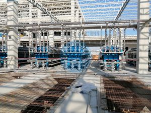 Citric Acid Production Processing Equipment and Fermentation Technology