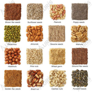 High Oil Recovery Pine Nuts Almond Peanut Oil Processing Making Extractor Extraction Expeller Palm Oil Press Machine