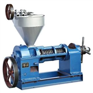 Seed Oil Press Machine Commercial Oil Press Machine for Sale