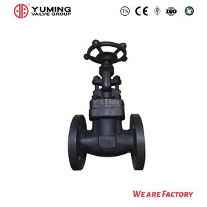 Stainless Steel/Carbon Steel Flange & Thread & Butt Weld & Socket Weld Forged Steel Globe Valve