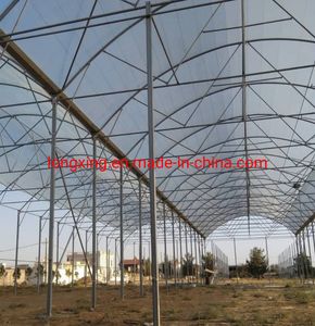 4 Year Clear 6 Mil Greenhouse Plastic Film