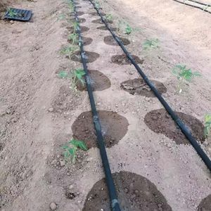 High Quality Drip Irrigation Tape for Greenhouse Vegetable Growing Applications