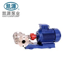 Customized Gear Oil Pump for Transport Gasoline and Petroleum