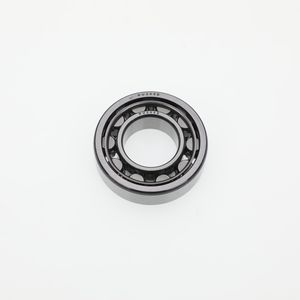 Nu205 Ecp/Em High Precision Cylindrical Roller Bearing for Electric Motors