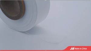 High Dielectric Strength PTFE Film for Transformer / Motor Insulation