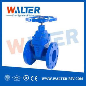 Premium ANSI Rising Stem Cast Iron Gate Valve for Industrial Use