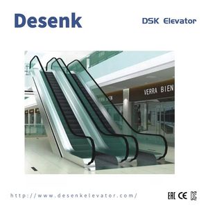 China Factory Vvvf Escalator Indoor Passenger Escalator with Best Price