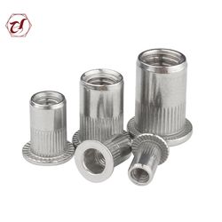 Customized Nuts Stainless Steel Flat Head Rivet Blind Nut