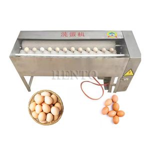 Automatic Egg Washing Machine / Egg Washing Equipment