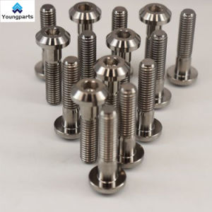 Youngparts China Manufacture Hexagon Bolts and Nuts Titanium Bolts Grade 8.8