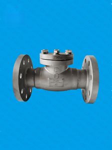 Cryogenic Check Valve for Cryogenic Storage Tank
