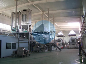 Advanced Modified Starch Production Line