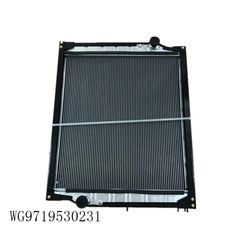 Sinotruk HOWO Truck Parts Wg9719530296 Radiator Assy
