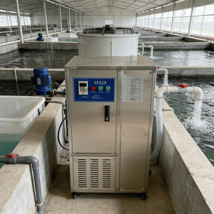 10g Ozonated Water System for Efficient Ozone Water Treatment Solutions