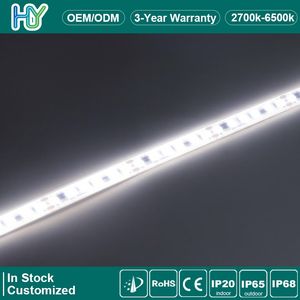 High Voltage 110V/220V AC LED Strip Light, No Transformer Needed, IP68 Waterproof, Long Run 2835 SMD Strip for Architecture and Garden Lighting