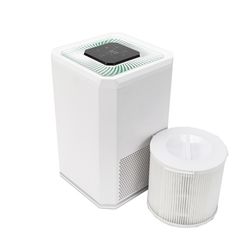 Home Air Purifier for Pets